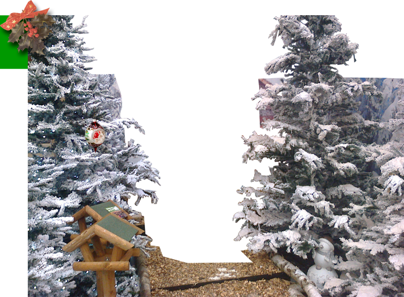 Veel geluk, gezondheid en liefde in 2019!